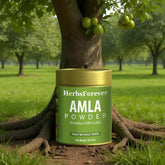 Herbsforever Amla Powder | Phyllanthus Emblica, Vitamin C & Antioxidants, Supports Healthy Immunity, Non-GMO, Vegan, 100 GMS | Natural Superfood for Daily Wellness