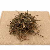 Bringraj (Roots)