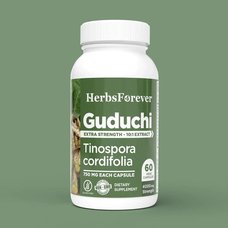 Herbsforever Guduchi Capsules 60 Vege Capsules,750mg | 100% Natural Immune Support | Overall Wellness Supplement, Made with Pure Tinospora Cordifolia Extract