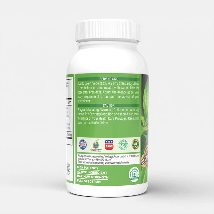 Gurmar Capsules | Gymnema Sylvestre Herbal Supplement | 7:1 Concentrated Extract | Supports Healthy Lifestyle | 60 Veg Capsules|550 mg EACH | Non-GMO & Vegan