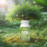 Herbsforever Amla Capsules | Emblica officinalis | Natural Vitamin C & Antioxidants | 40% Tannins | 800mg Each | 60 Vegetarian Capsules | Herbal Supplement
