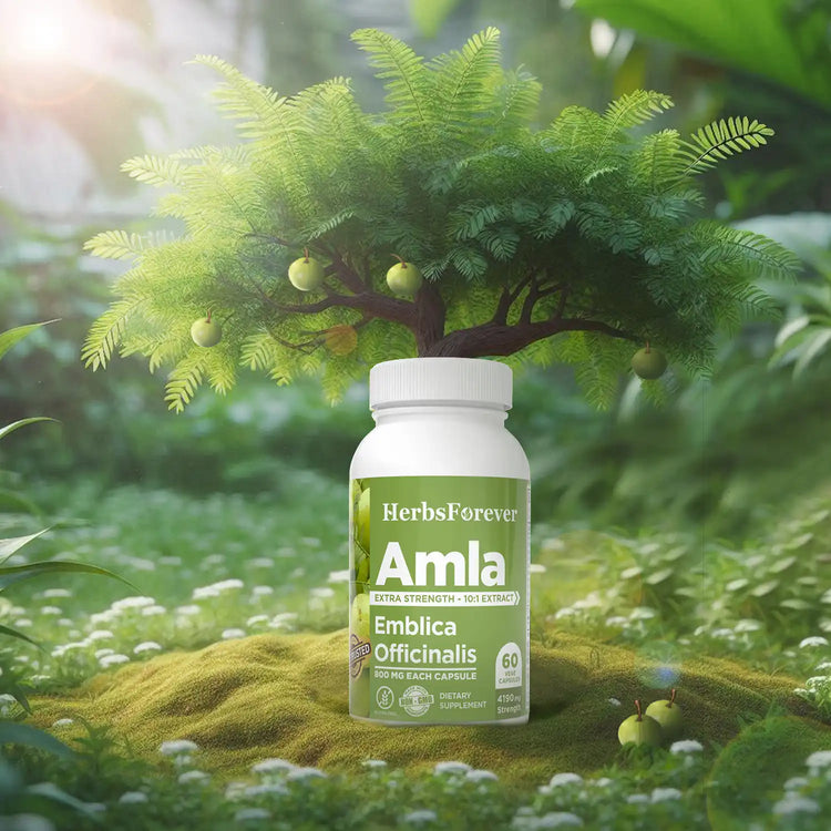 Herbsforever Amla Capsules | Emblica officinalis | Natural Vitamin C & Antioxidants | 40% Tannins | 800mg Each | 60 Vegetarian Capsules | Herbal Supplement