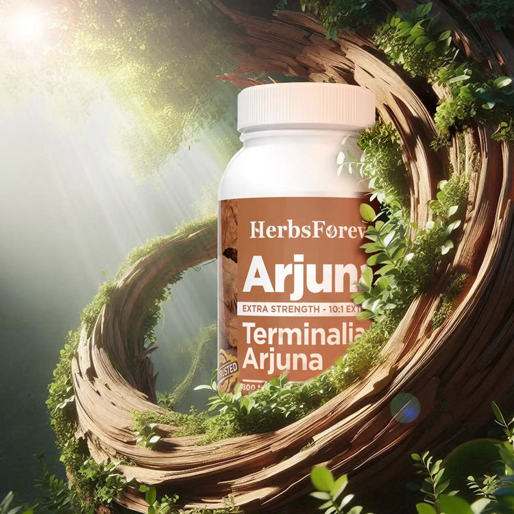 Arjuna Terminalia Arjuna Traditional Wellness Supplement 60 Vege Capsules | 800mg