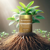 HerbsForever Ashwagandha Powder 100g I Winter Cherry, Non-GMO, Vegan, Gluten-Free I Ayurvedic Stress-Buster Supports Energy Booster, Vitality & Rejuvenator Overall Wellness