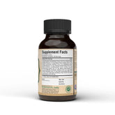 Herbsforever Avipatikar Churna | Ayurvedic Herbal Supplement for Digestive Support & Gut Health | Non-GMO, Vegan | Traditional Formula | 100 GMS