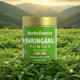 HerbsForever Bhringaraj Powder Eclipta Alba Hair Care Herb Natural Hair Conditioner Nourishes Hair Follicles Non GMO, Vegan 100 Gms