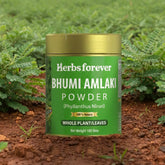 HerbsForever Bhumi Amlaki Powder100g Phyllanthus Niruri, Non-GMO, Plant-Based Formula for Liver Health and Effective Natural Detox