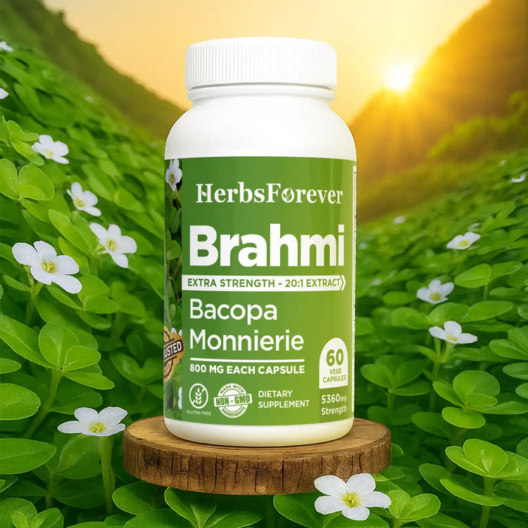 Herbsforever Brahmi Capsules Bacopa Monnieri 800 Mg | 60 Veggie Capsules, 30-35% Bacoside | Natural Herbal Supplement for Cognitive Support & Wellness