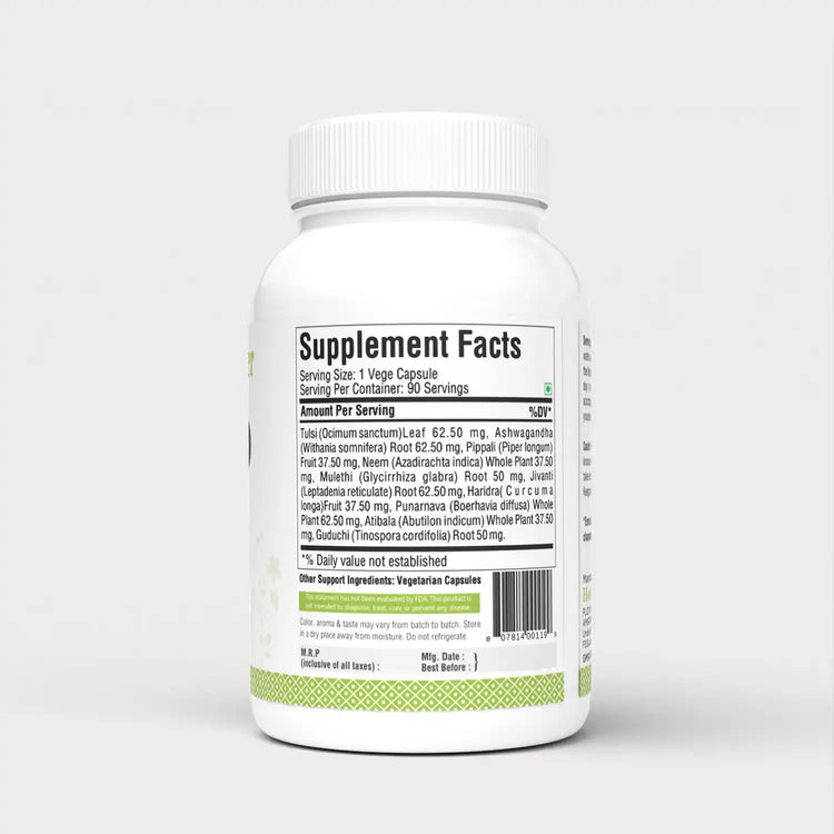 Herbsforever Enviro Care Capsules Ayurvedic Herbal Supplement Neutralizing The Unhealthy Effects While Travelling with high Immunity 90 Vege Capsules 500 Mg Each