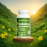 Herbsforever Gokshura Capsules - Tribulus Terrestris - 60 Vege Capsules - 800 mg each
