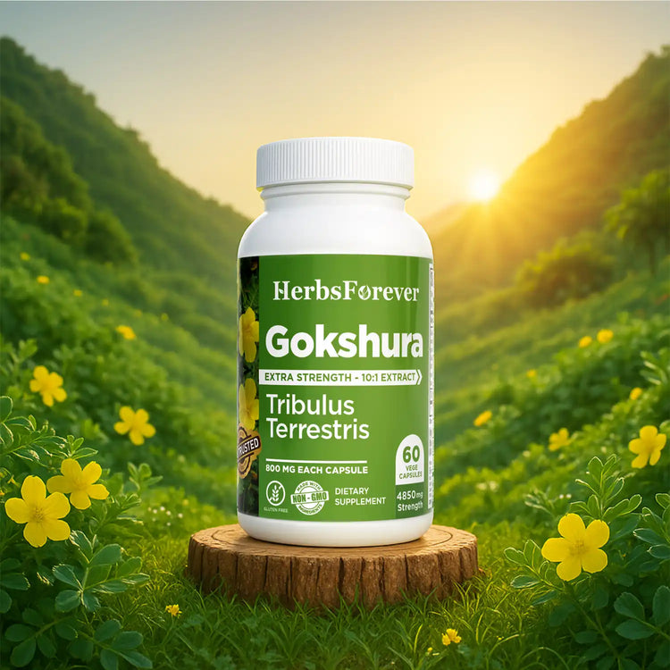 Herbsforever Gokshura Capsules - Tribulus Terrestris - 60 Vege Capsules - 800 mg each