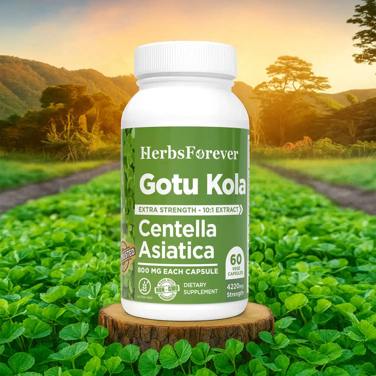 Herbsforever Gotu Kola Capsules | Centella Asiatica Herbal Supplement, 800 mg Each | 60 Veg Capsules for Mental Clarity, Focus | Overall Wellness Support
