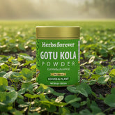HerbsForever Gotu Kola Powder Centella asiatica Reducing Stress Enhance Memory & Focus Non GMO, Vegan 100 GMS