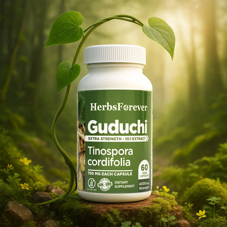 Herbsforever Guduchi Capsules 60 Vege Capsules,750mg | 100% Natural Immune Support | Overall Wellness Supplement, Made with Pure Tinospora Cordifolia Extract