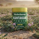 HerbsForever Kantakari Powder Solanum Xanthocarpum Indian Nightshade Liver Tonic Non GMO, Organic, Vegan 100 GMS