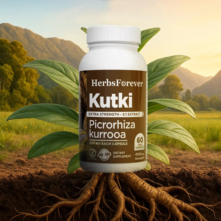 Herbsforever Kutki Capsules | Picrorhiza Kurroa Extract with 10% Bitters & 7% Kutkin | 800 mg, 60 Vegan Capsules | Premium Herbal Supplement for Wellness Support