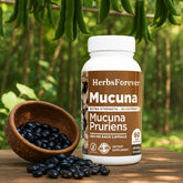 Herbsforever Mucuna Pruriens Capsules 60 Vege Capsules 800 Mg Each