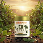 HerbsForever Mucuna Pruriens Seed Powder 2X Potency Extract (2:1) | Purple & Yellow Seeds Blend, Velvet Bean, Non-GMO, Vegan, 100g | Supports Energy, Vitality, and Overall Wellness