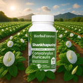 Herbsforever Shankhpushpi Capsules | Convolvulus Pluricaulis | Natural Herbal Supplement for Mental Alertness, Focus & Memory Support |500mg | 60 Veg Capsules