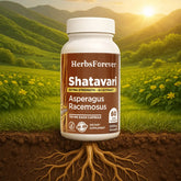 Herbsforever Shatavari Capsules Premium Asparagus Racemosus Supplement 40% Saponins 750 mg High-Potency Formula - 60 Vegetarian Capsules Herbal Wellness & Balance Support Non-GMO