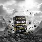 Herbsforever Shilajit Capsules | Premium Mineral Pitch with 76.27% Fulvic Acid | Natural Energy & Stamina Booster β 60 Veg Capsules, 600mg Each | Authentic & Pure Formula