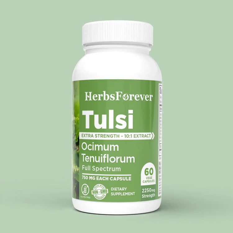 Herbsforever Tulsi Capsules Holy Basil Ocimum Sanctum 60 Vege Capsules 750 Mg Each
