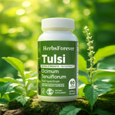 Herbsforever Tulsi Capsules Holy Basil Ocimum Sanctum 60 Vege Capsules 750 Mg Each
