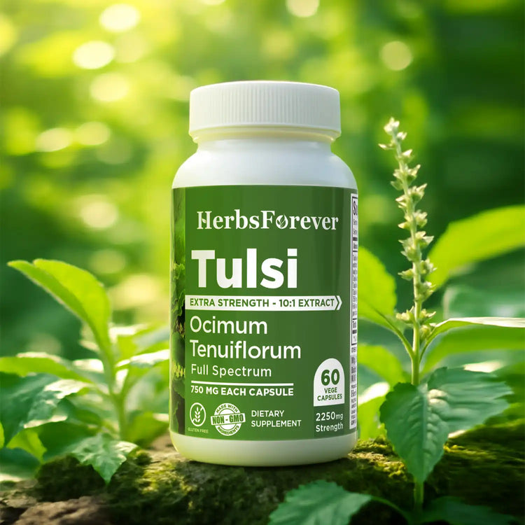 Herbsforever Tulsi Capsules Holy Basil Ocimum Sanctum 60 Vege Capsules 750 Mg Each