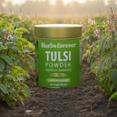 HerbsForever Tulsi Powder Holy Basil Leaves Powder Ocimum Sanctum Support Immune System Promote Calmness and Stress Relief Non GMO, Vegan 100 GMS