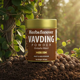 HerbsForever Vidanga Powder | Embelia Ribes | Natural Herbal Supplement | Non-GMO, Vegan | 100 GMS