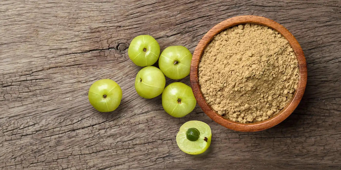 Why Amla Powder Should Be Your New Health Essential