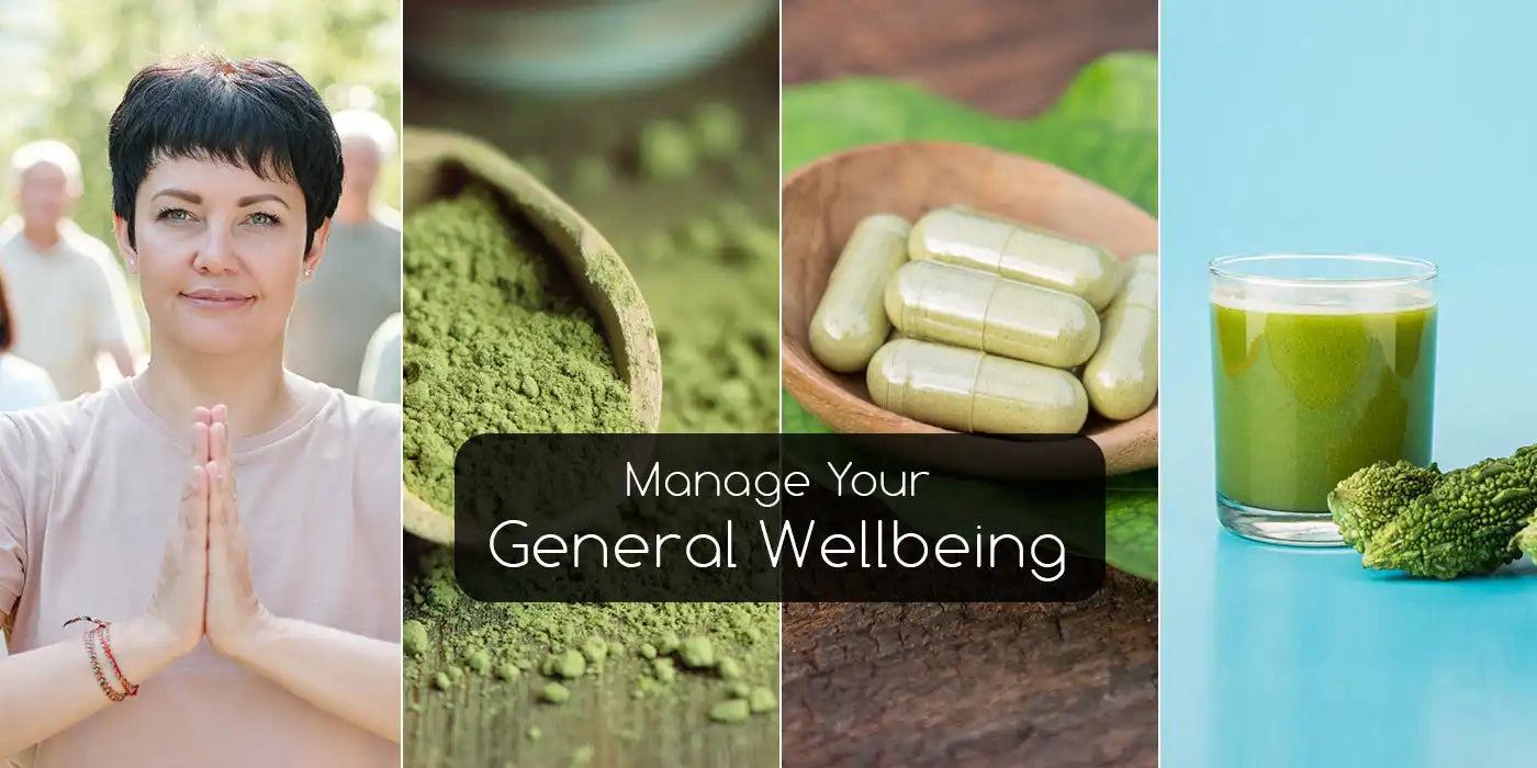 Bitter Yet Beneficial: Unlocking the Power of Bitter Melon Powder!