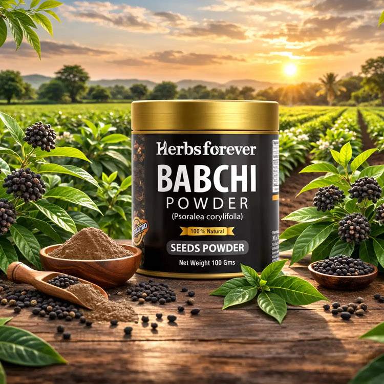 HerbsForever Babchi Powder 100g – Pure Psoralea Corylifolia Churna – Traditionally Used for Skin & Wellness Support – Non-GMO, No Additives – External & Internal Use – Lab Tested