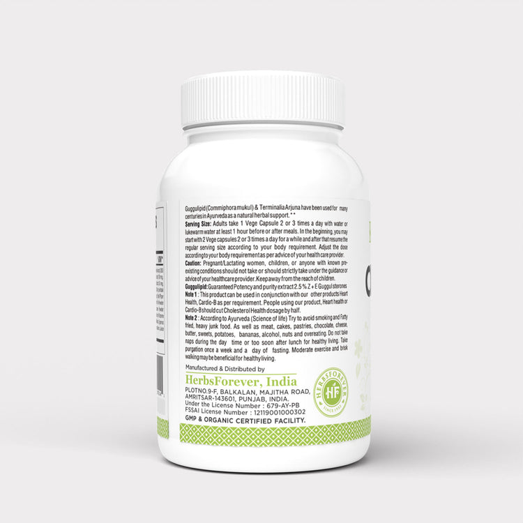 HerbsForever Cholesterol Health,  Triglyceride &  Heart - Guggulipid, Arjuna, Cinnamon, Garlic , Turmeric, Garcinia, Amla, plus Potent Ayurvedic Herbs Extracts. 90 Veg Capsules, 810mg Antioxidant.